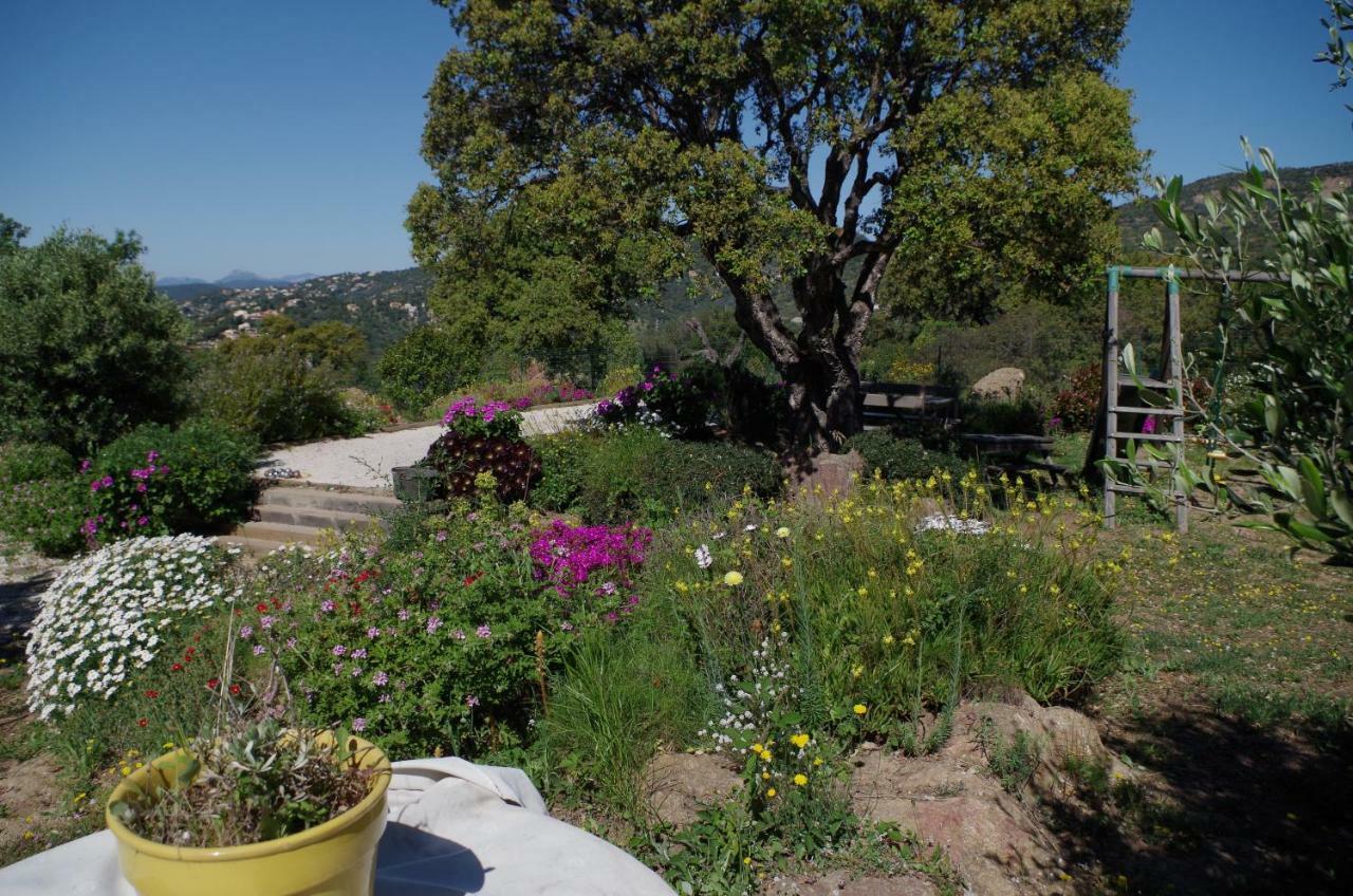 Ferienwohnung Coustelline Le Lavandou Exterior foto